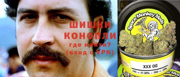 дживик Горняк