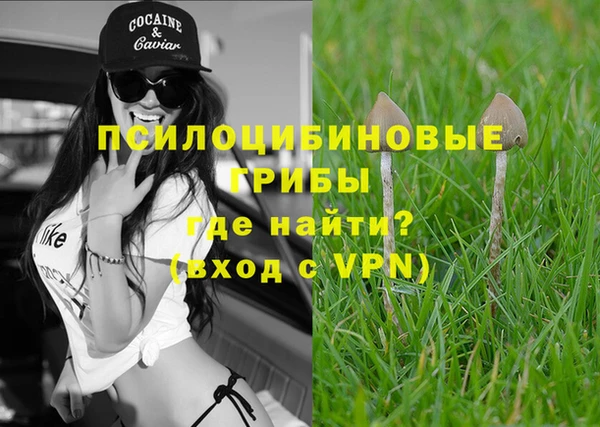 Альфа ПВП Вязники